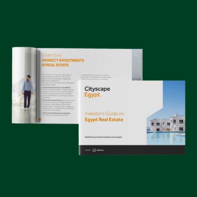 EGYPT INVESTOR GUIDE