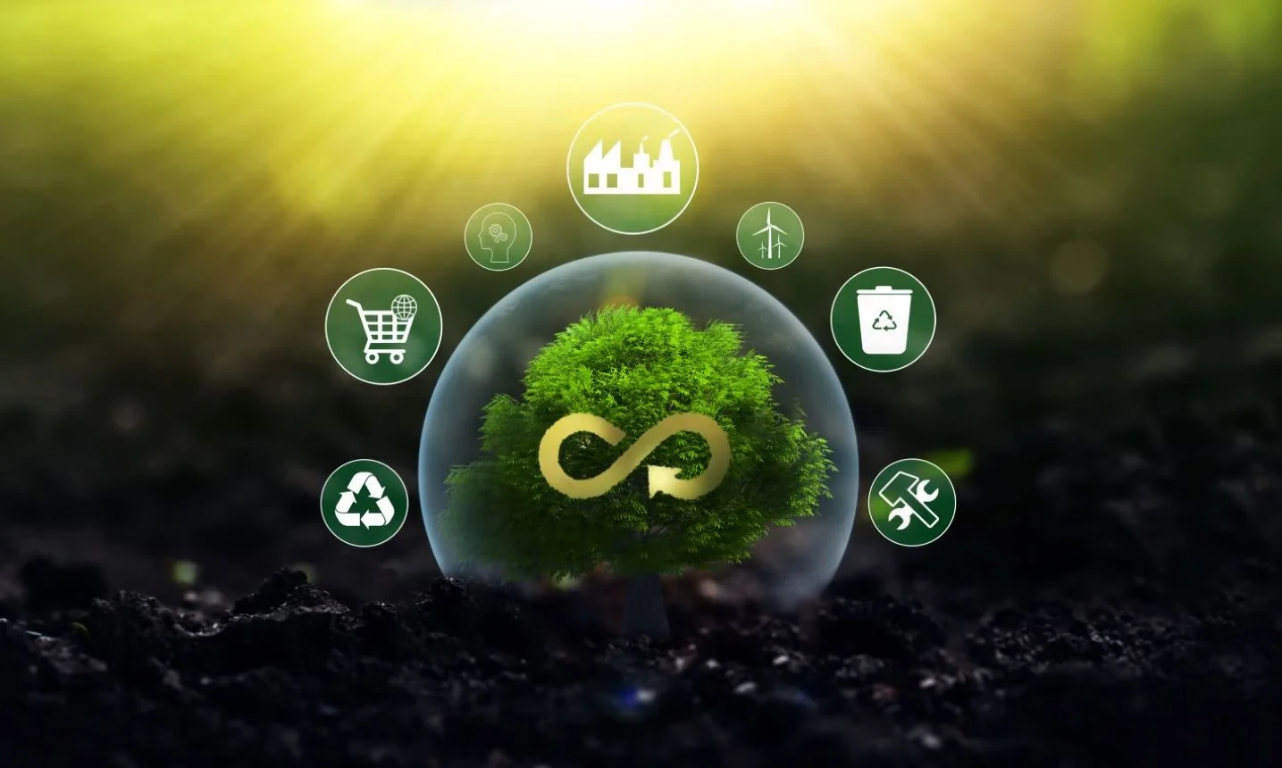 Circular food innovation in practice