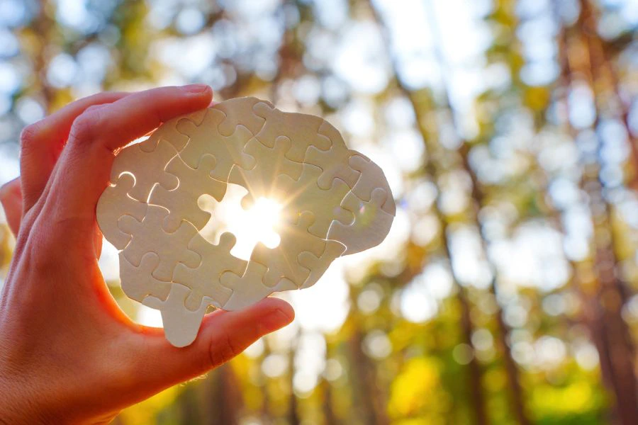 Cognitive Health
