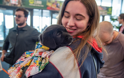 a girl holding a black puppy