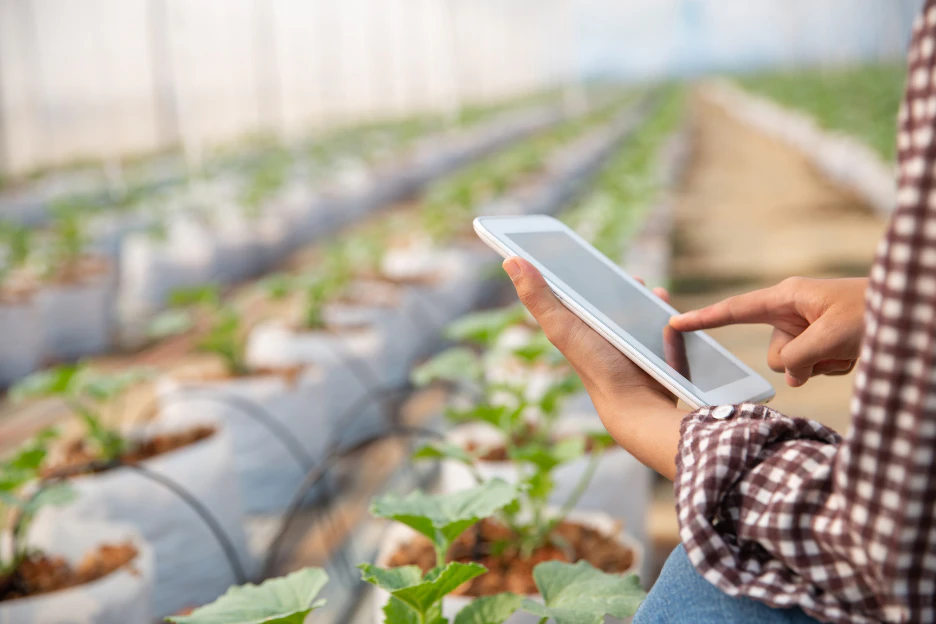Irrigation Systems