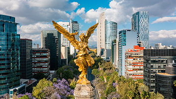 Mexico City Skyline