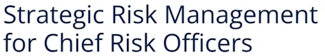 Strategic Risk Management for Chief Risk Officers