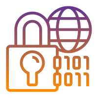 An icon showing a padlock next to the image of a globe representing the world wide web, and a series of 0s and 1s.