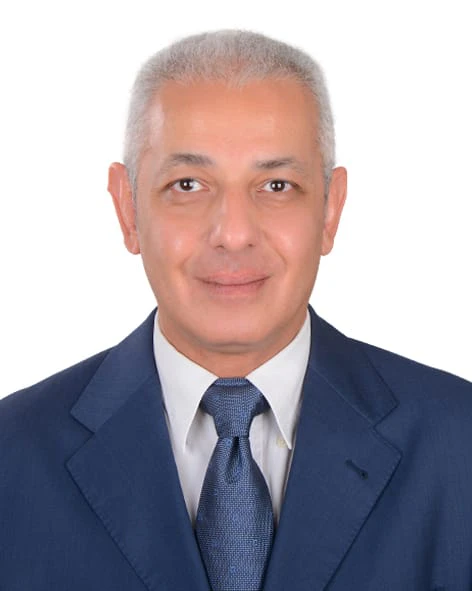 Mr. Ahmed ElShaffee