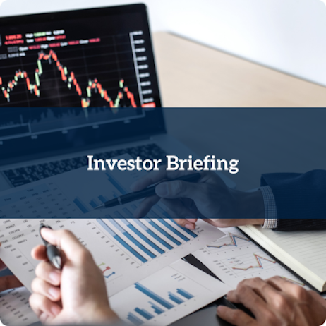 Investor Briefing