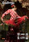 Tapas  Dinner, Drinks and Flamenco Performance