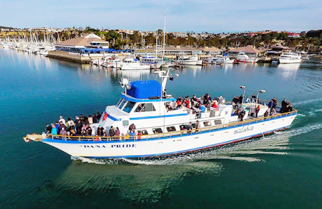 Dana Wharf Sportfishing and Whale Watching