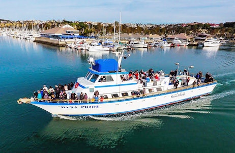 Dana Wharf Sportfishing and Whale Watching