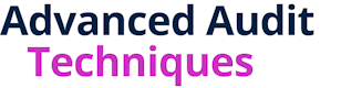 Advanced Audit Techniques