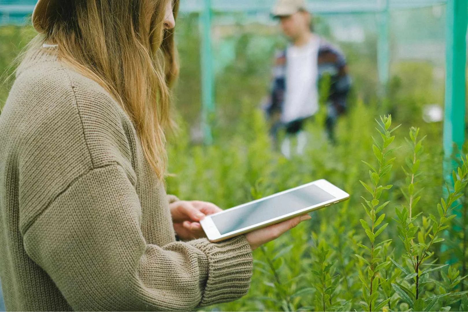 A woman holding a tablet in her hands in a greenhouse