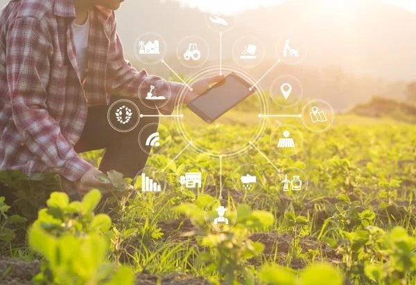 Digital Transformation in the Field of Agriculture in Egypt and Africa Webinar