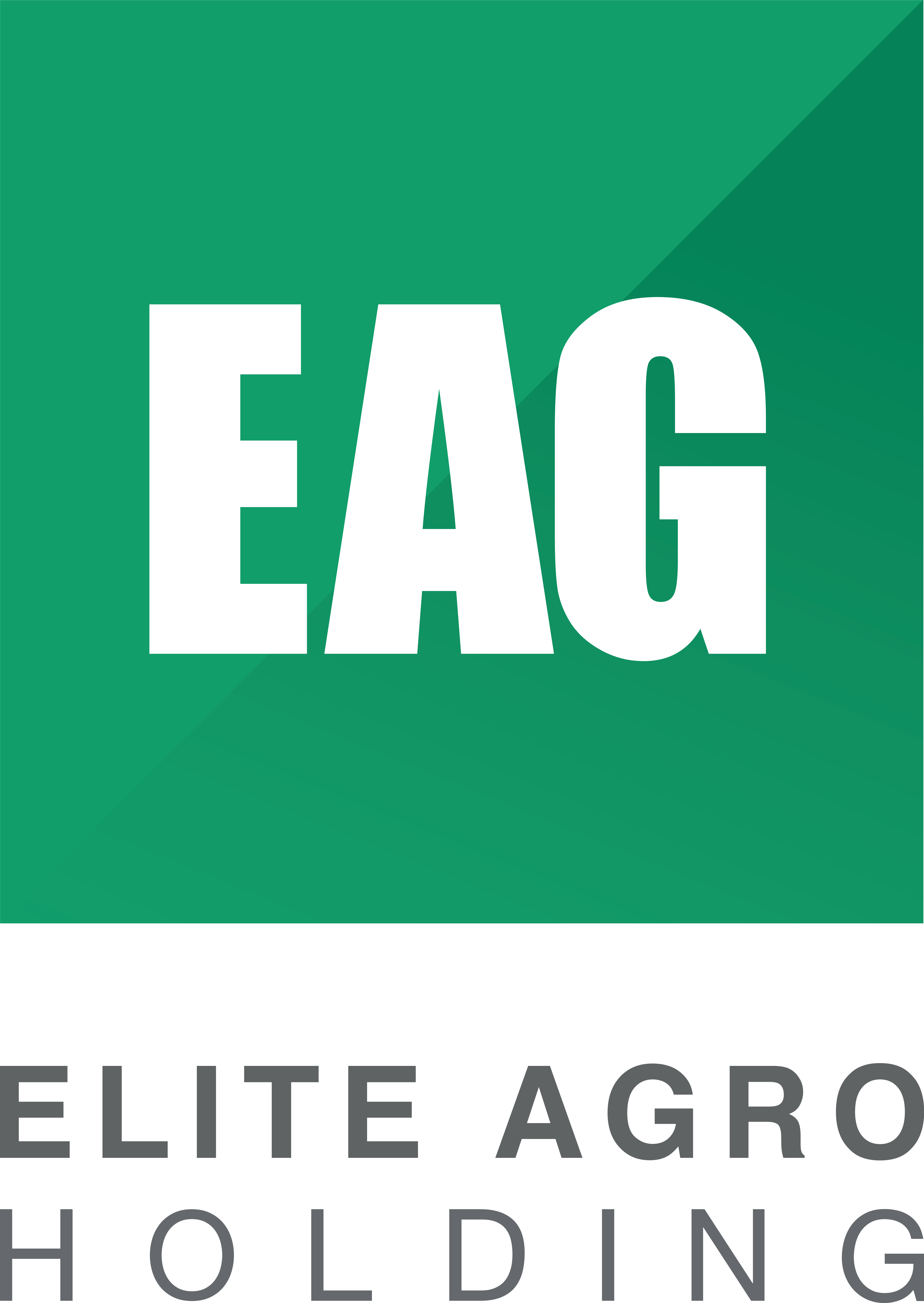 Elite Agro Holding LLC