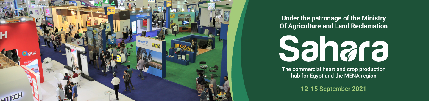 Sahara Expo hero image