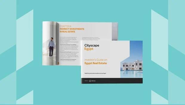 EGYPT INVESTOR GUIDE