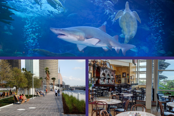 FL Aquarium Tour - PM Session