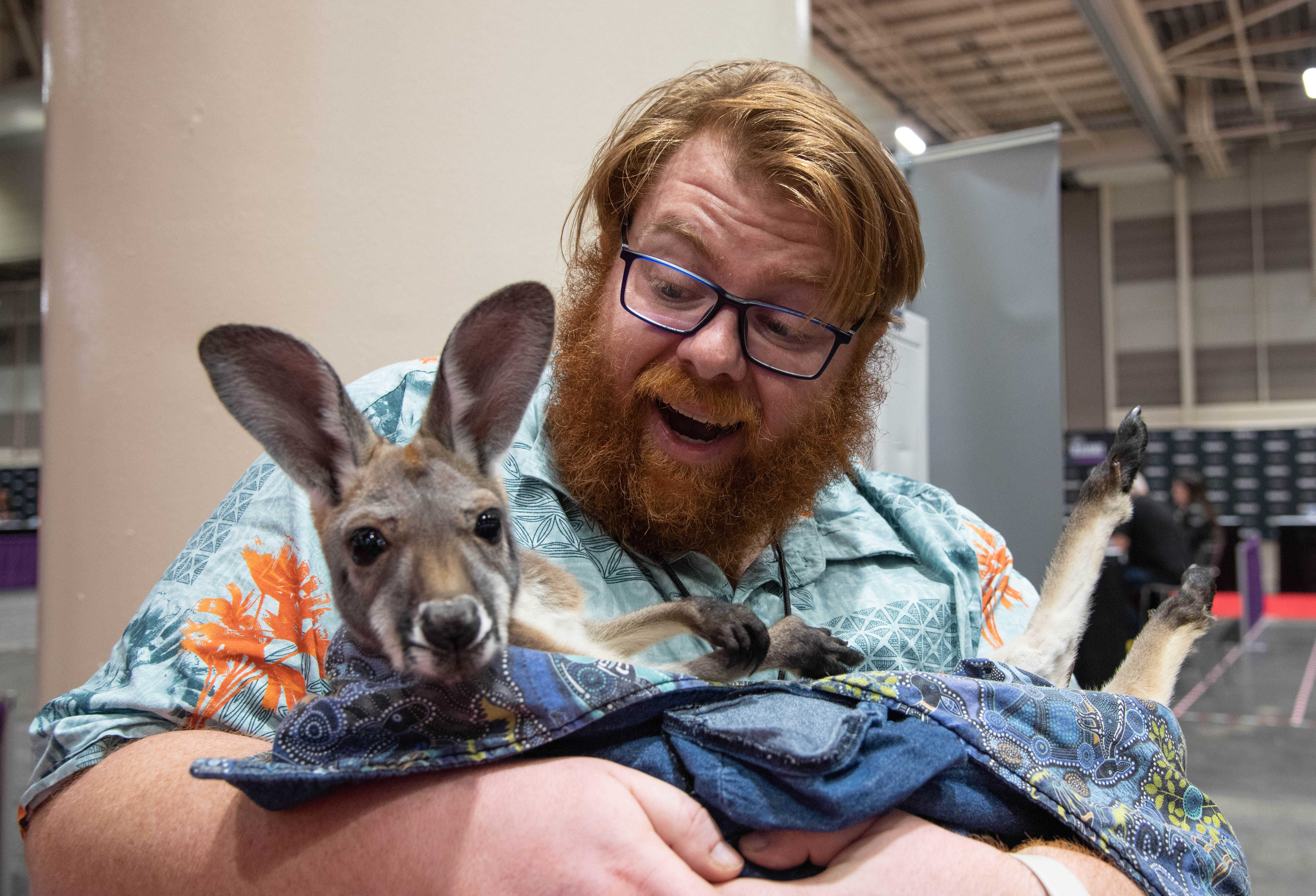 A man holding the joey in the celebrity area, available from the Animal Encounters activation in the Family Zone.