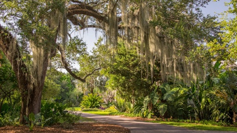 Fairchild Tropical Botanic Garden
