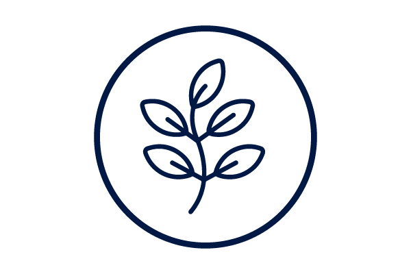 Icon of leaves