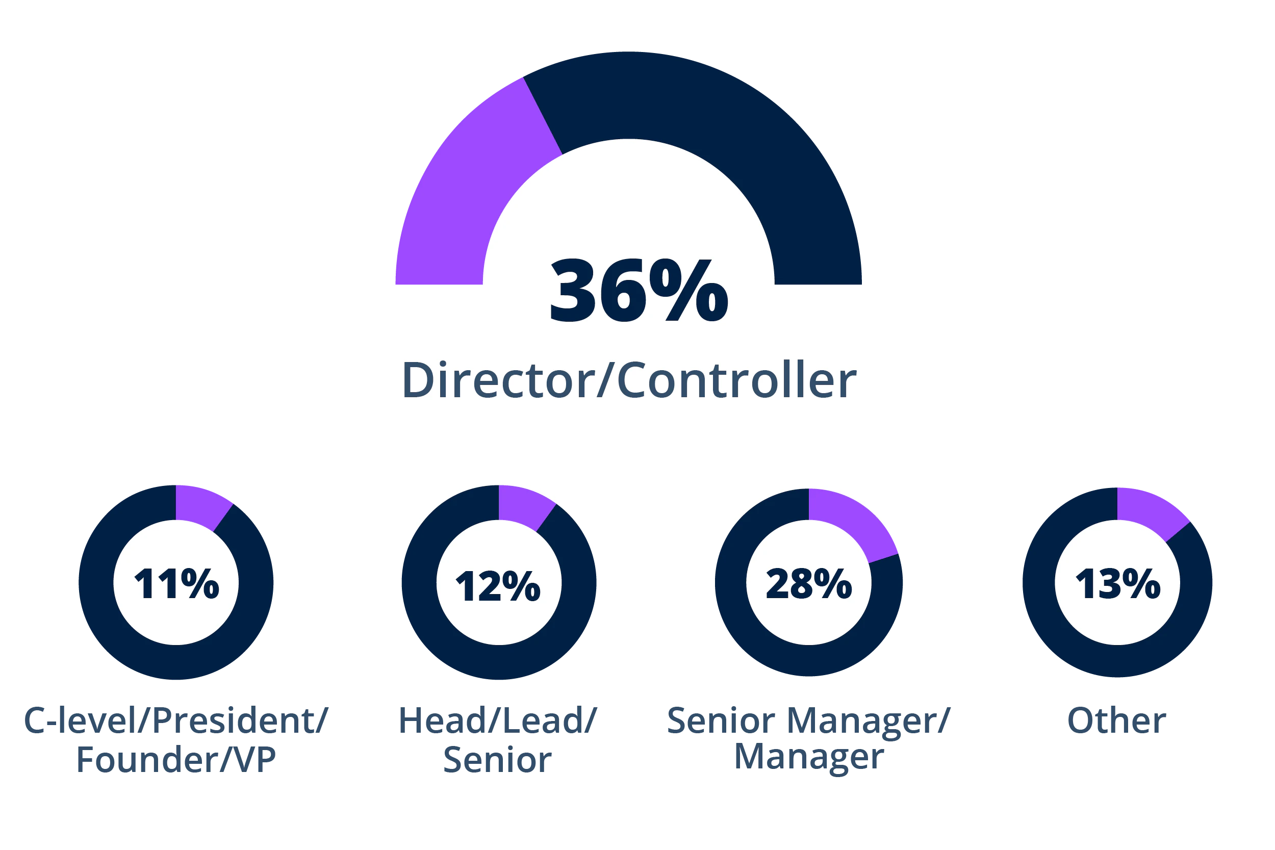 46% Controller/Director, 20% Manager, 14% C-Level/President/VP, 10% Head/Lead/Senior, 10% Other