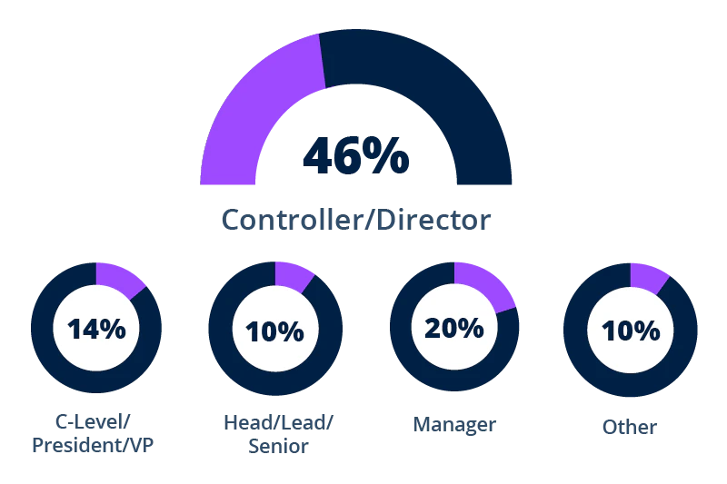 46% Controller/Director, 20% Manager, 14% C-Level/President/VP, 10% Head/Lead/Senior, 10% Other
