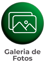 Galeria de Fotos