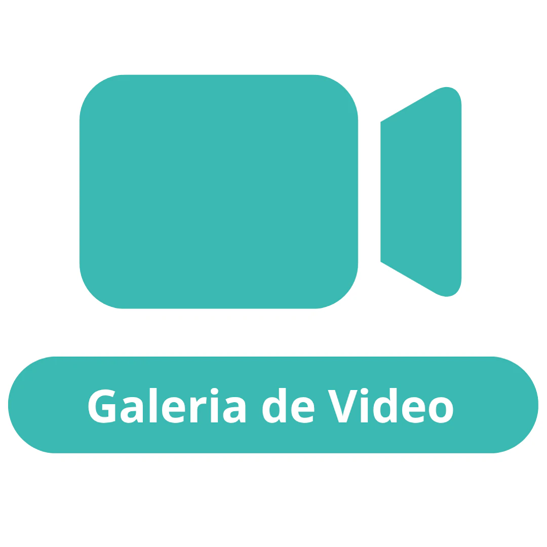 Video Gallery