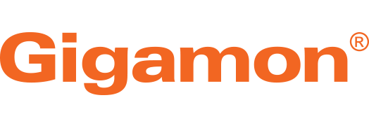 Gigamon