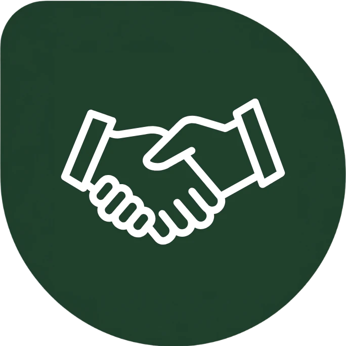 <p>International Business Environment</p>