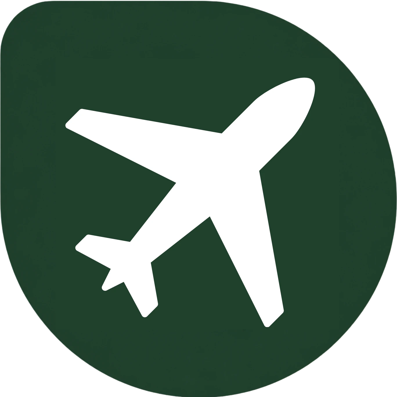 <p>By Plane</p>