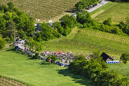 Heuriger Wine Gardens