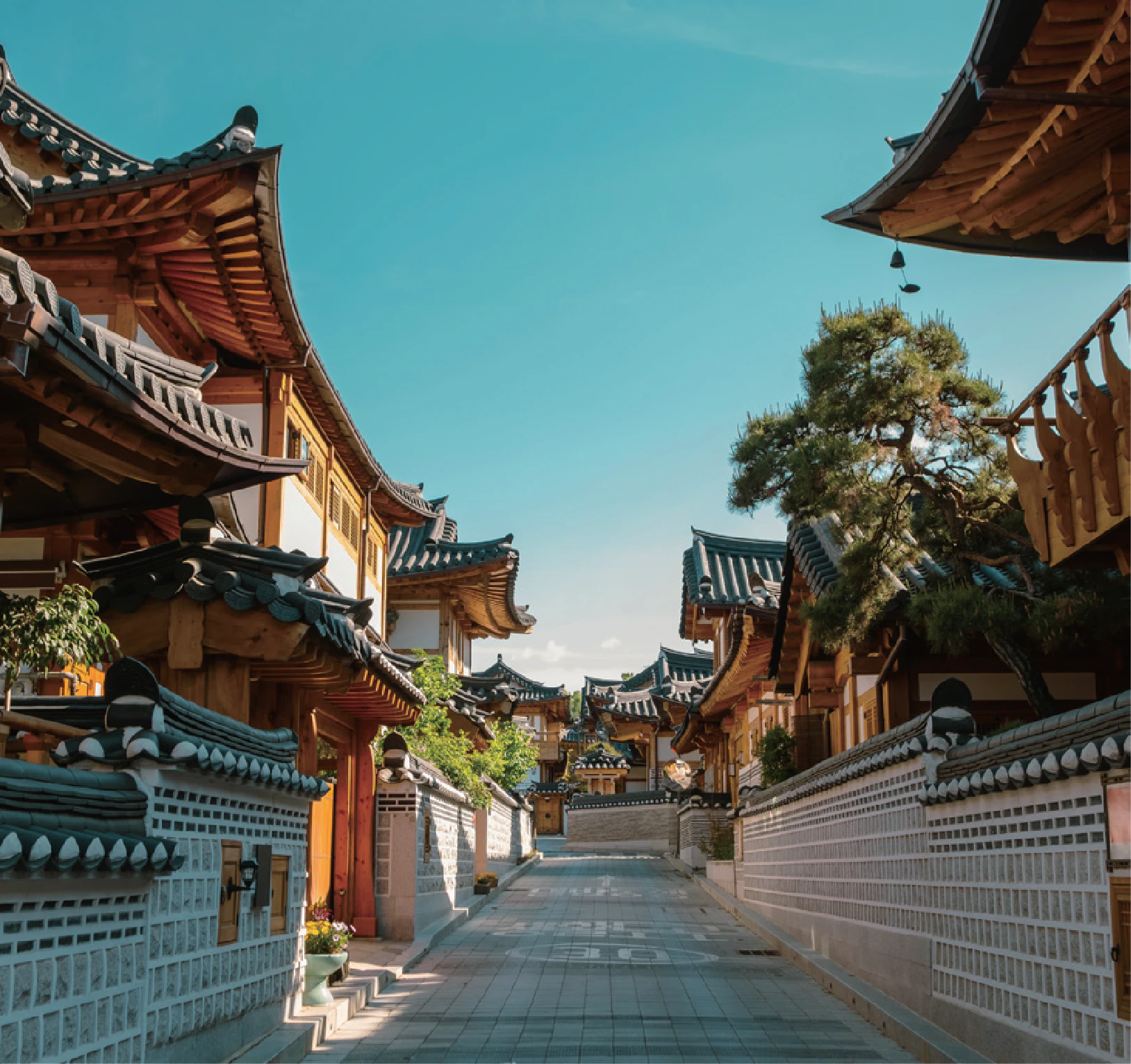 Hi Korea