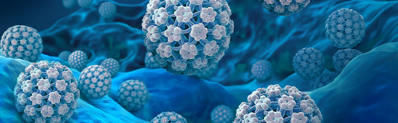 HPV and Anal Diseases Forum
