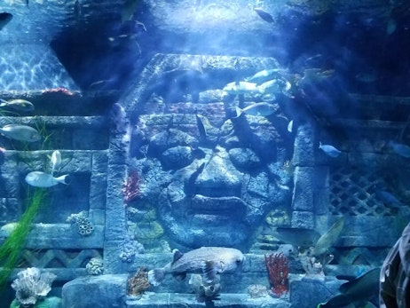 Downtown Aquarium - Houston