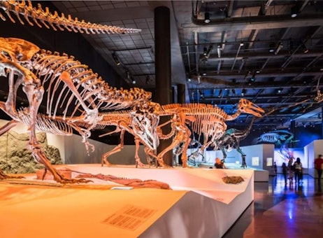 Houston Museum of Natural Science