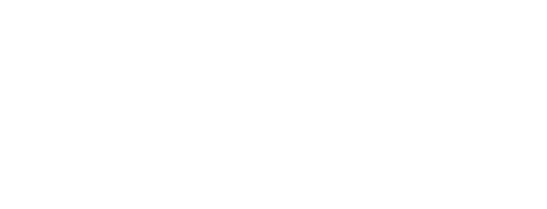 Audience Logo