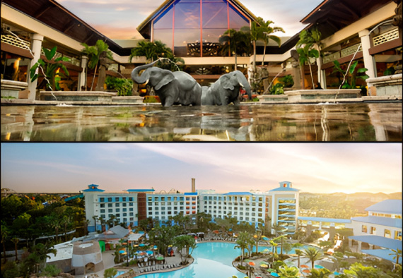 Additional Hotel & Travel Information Image