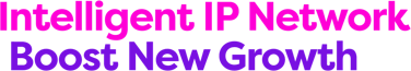 Intelligent IP Network