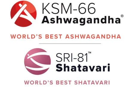 KSM 66