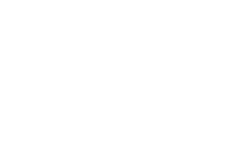retail smart guys