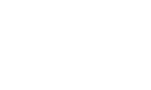 togzy.ai