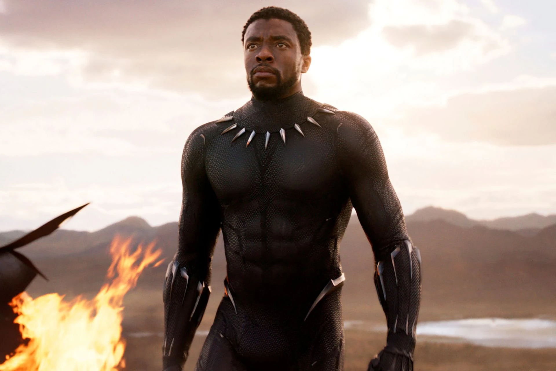 Black Panther from Marvel's Black Panther walking near fire