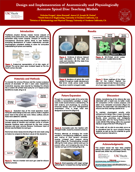Design and Implementation of Anatomically and Physiologically Accurate Spinal Disc Teaching Models