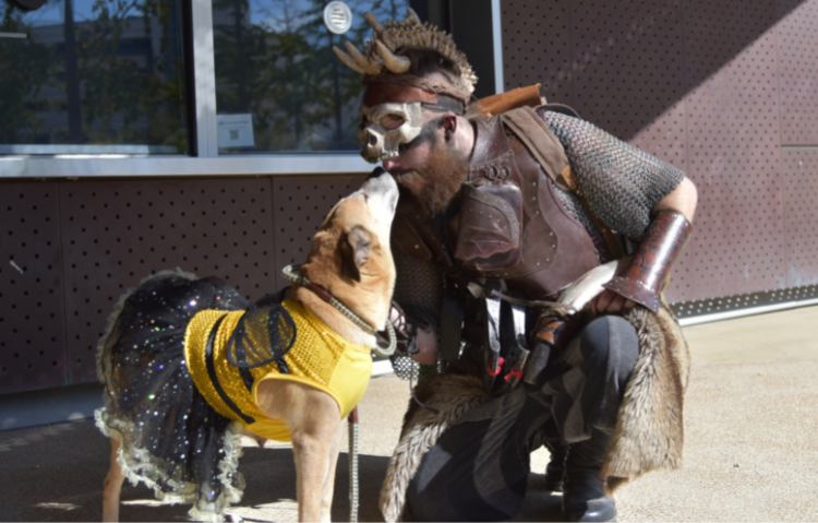 a man touching noses with a dog wearing a bumblebee tutu costume