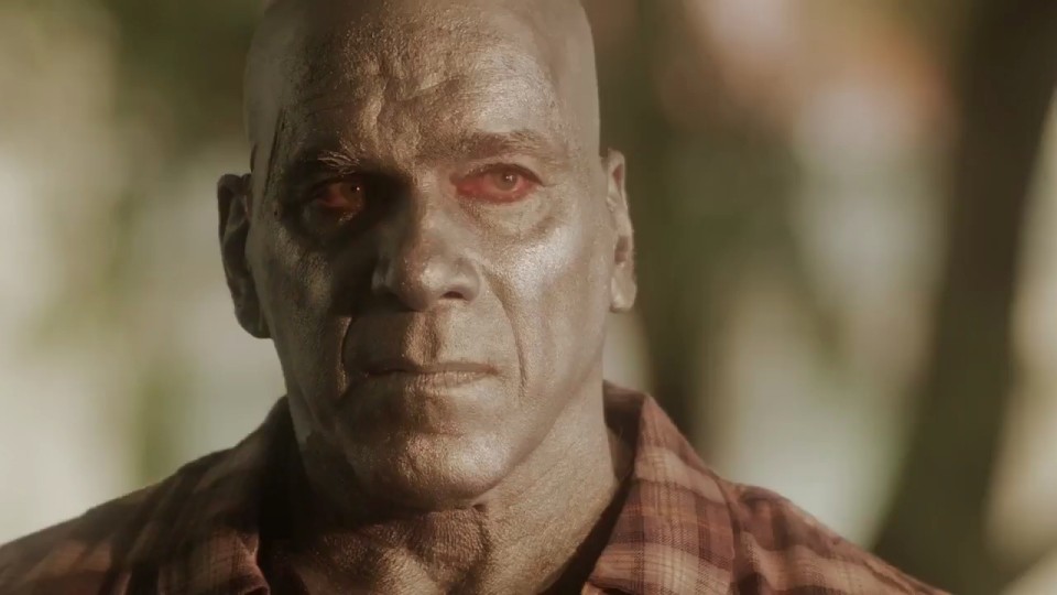 A bald Lou Ferrigno is painted silver and is wearing a brown reddish plaid shirt. There are blurred trees in the background.