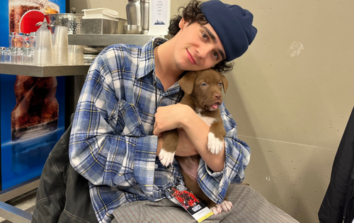 Jack Dylan Grazer cuddling and holding a brown puppy with white paws