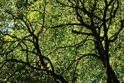 Lgps business plan 08 image