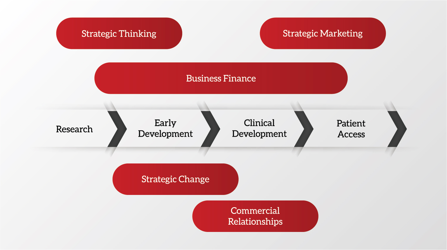 Biotech and Pharmaceutical Mini MBA