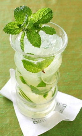 mojito cocktail
