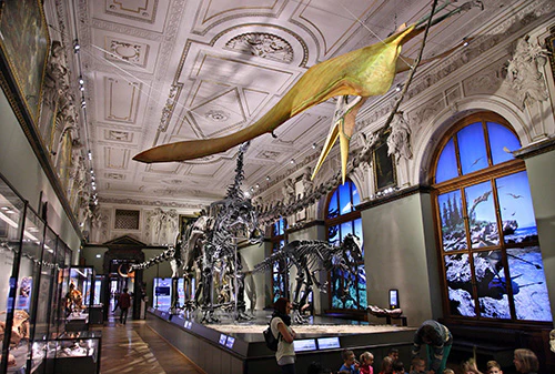 Naturhistorisches Museum Wien
